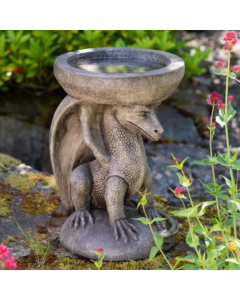 Dragon Bird Bath