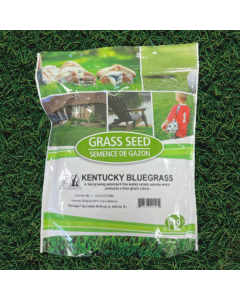 Coated Kentucky Bluegrass 1kg